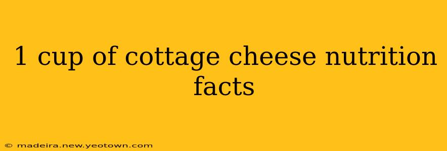 1 cup of cottage cheese nutrition facts