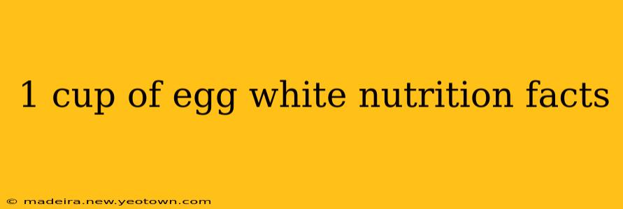1 cup of egg white nutrition facts