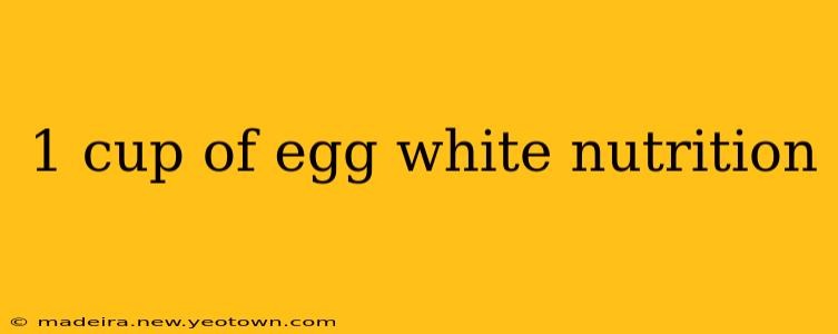 1 cup of egg white nutrition