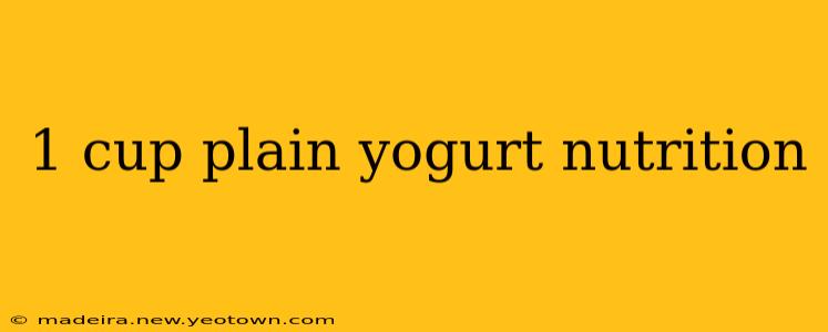 1 cup plain yogurt nutrition