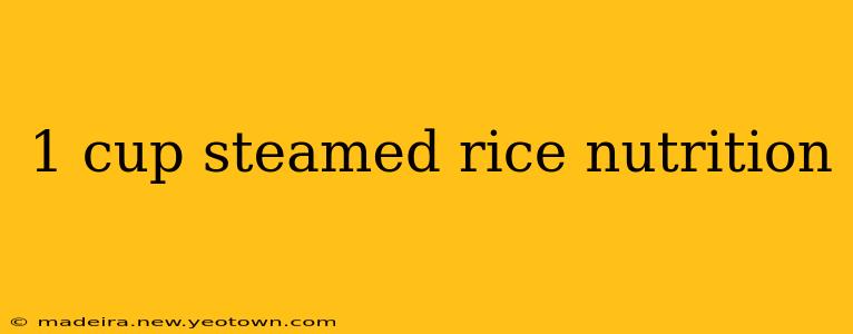 1 cup steamed rice nutrition