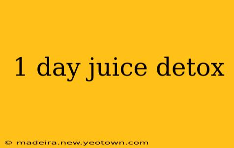 1 day juice detox