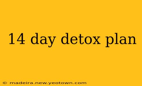 14 day detox plan