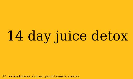 14 day juice detox