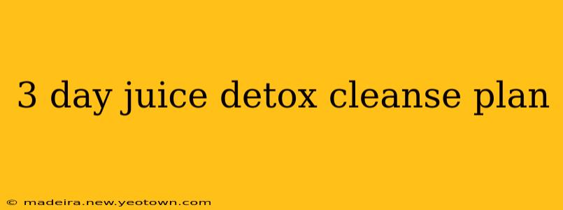 3 day juice detox cleanse plan