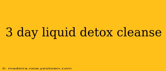 3 day liquid detox cleanse
