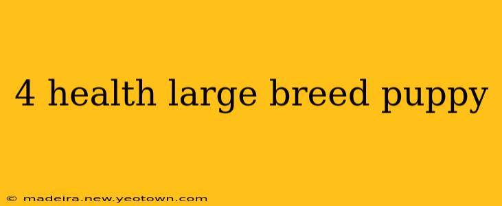4 health large breed puppy