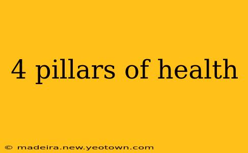 4 pillars of health