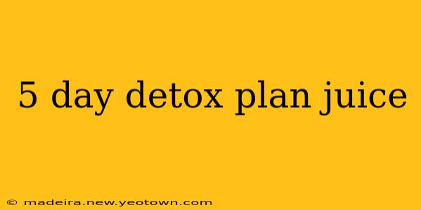 5 day detox plan juice