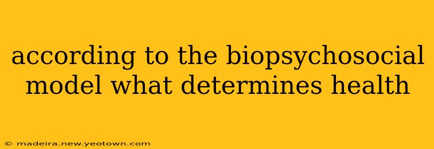 according to the biopsychosocial model what determines health