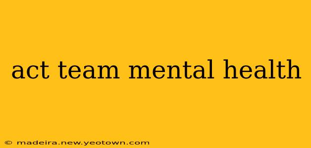 act team mental health