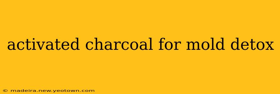 activated charcoal for mold detox