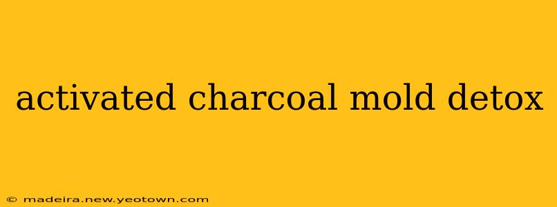 activated charcoal mold detox