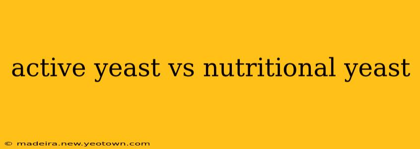 active yeast vs nutritional yeast