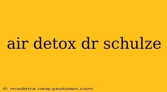 air detox dr schulze