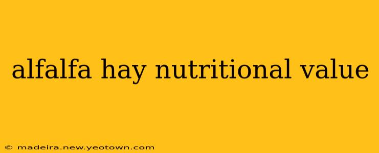 alfalfa hay nutritional value