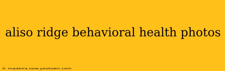 aliso ridge behavioral health photos