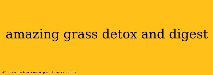 amazing grass detox and digest