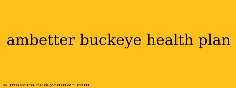 ambetter buckeye health plan