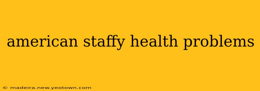 american staffy health problems
