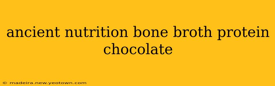 ancient nutrition bone broth protein chocolate