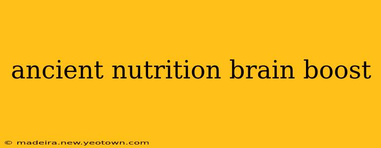 ancient nutrition brain boost
