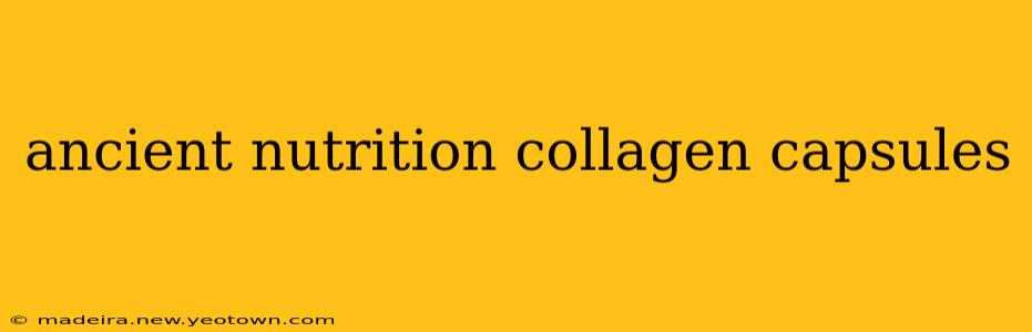ancient nutrition collagen capsules
