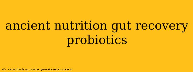 ancient nutrition gut recovery probiotics