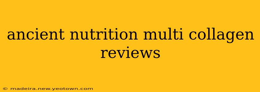 ancient nutrition multi collagen reviews