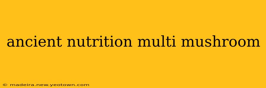 ancient nutrition multi mushroom