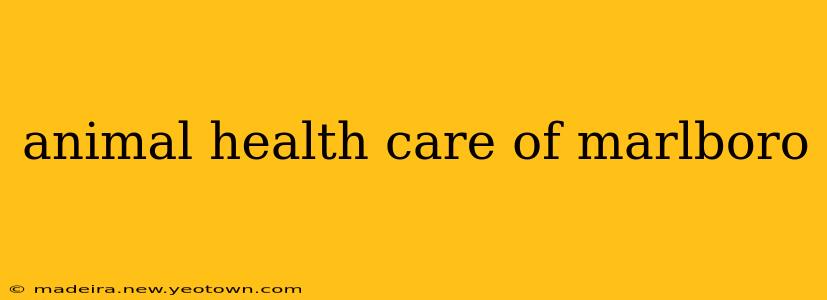 animal health care of marlboro