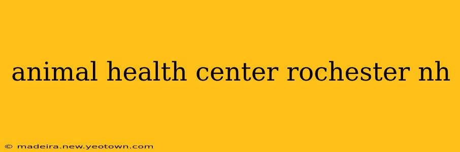 animal health center rochester nh