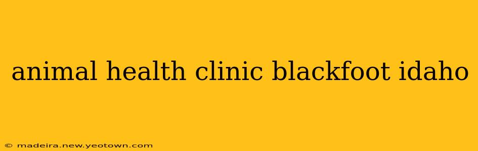 animal health clinic blackfoot idaho