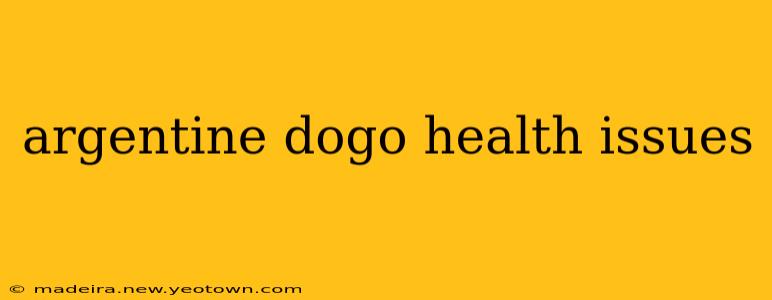 argentine dogo health issues