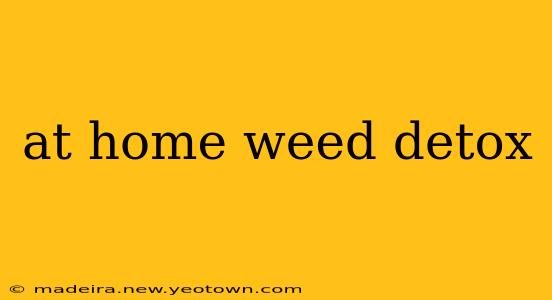 at home weed detox