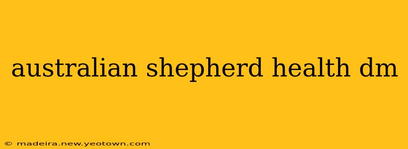 australian shepherd health dm