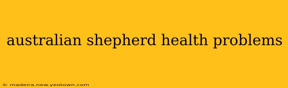 australian shepherd health problems