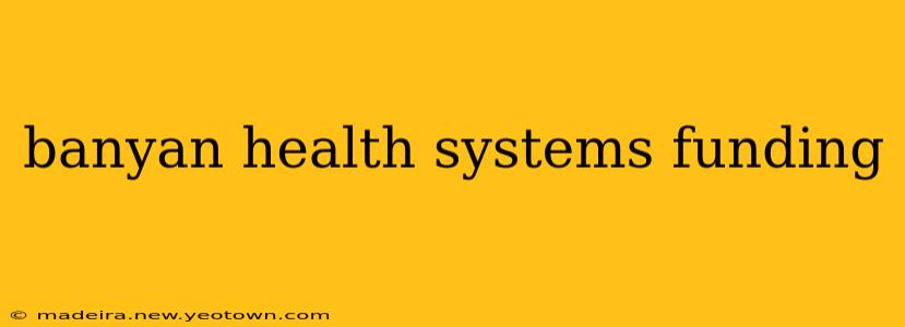 banyan health systems funding