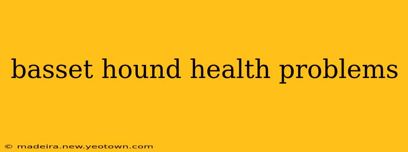 basset hound health problems