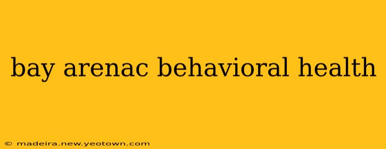 bay arenac behavioral health