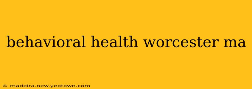 behavioral health worcester ma