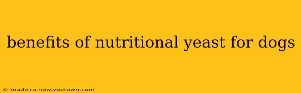 benefits of nutritional yeast for dogs