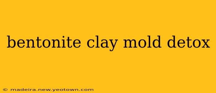 bentonite clay mold detox