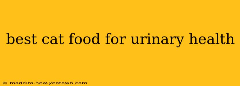 best cat food for urinary health