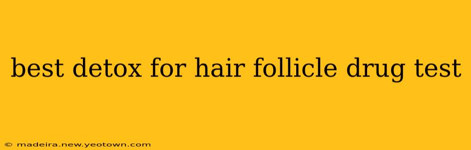 best detox for hair follicle drug test