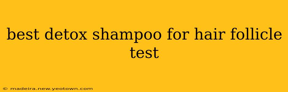 best detox shampoo for hair follicle test