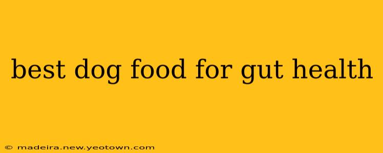 best dog food for gut health