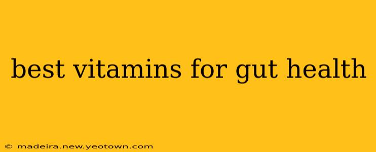 best vitamins for gut health