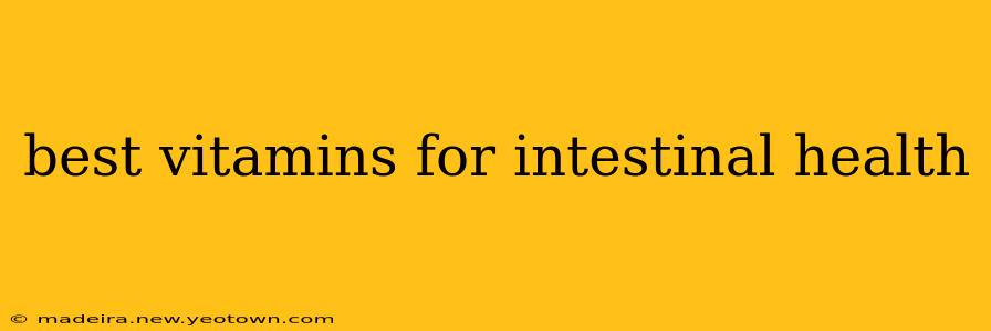 best vitamins for intestinal health