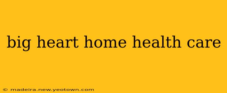 big heart home health care